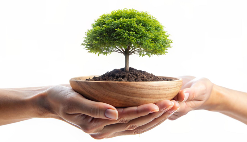 نذر برای طبیعت