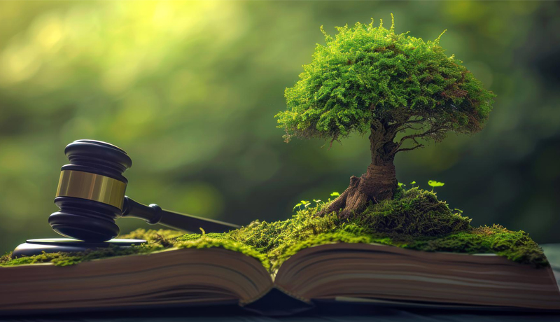 عدالت زیست ‌محیطی