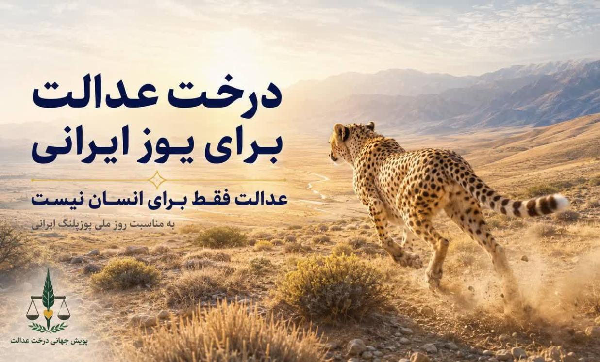 درخت عدالت برای یوز ایرانی؛ عدالت فقط برای انسان نیست