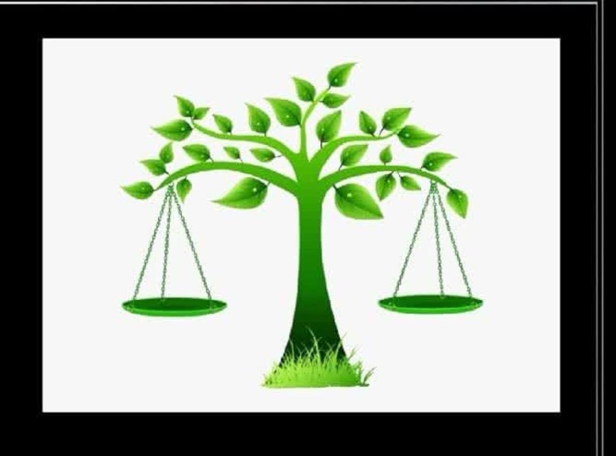 کتاب درخت عدالت در فروشگاه جهانی آمازون منتشر شد